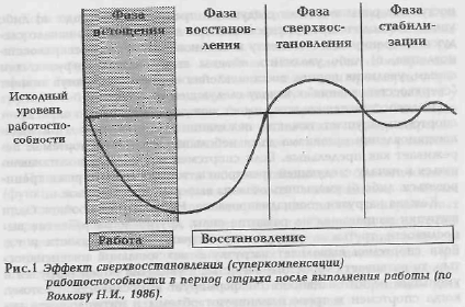 10.5. Непрерывность (перманентность) и цикличность подготовительно-соревновательного процесса